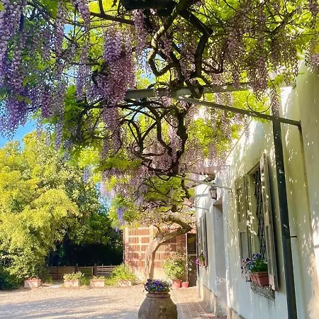 Bed & Breakfast Il Casale Di Bubu Private Parking Modena